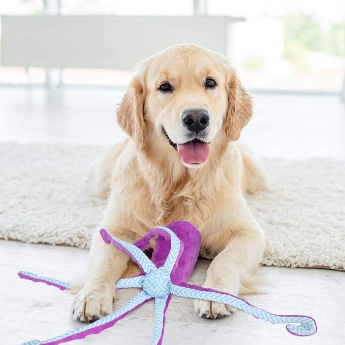 EXPAWLORER Octopus Dog Toy - Best Dog Squeaky Toys Puppy Birthday Gift Soft Stuffed Chew Toy, Crinkle Paper and Built-in Squeaker Durable Interactive Plush Toy for Small Medium Large Dogs, Purple