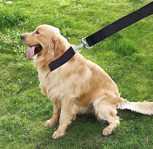 TAIAN 4FT/5FT/6FT Strong Dog Leash, Nylon Dog Leashes for Small Medium Large Dogs (3/4 in x 5 ft, Black) - Image 7