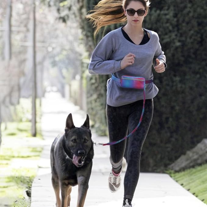 Hands Free Dog Leash with Zipper Pouch, Dual Handles and Durable Reflective Bungee for Walking, Jogging and Running Medium Large Dog (Pink+Cyan)