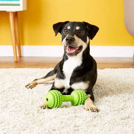 JW Pet Chompion Heavyweight Dog Chew Toy for Medium Breeds, Assorted Colors
