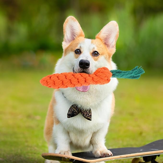 balacoo Carrot Dog Rope Toy 9.45In Interactive Pet Chew Toy for Teeth Cleaning Tug of War and Stress Relief Durable Cotton Rope Plaything