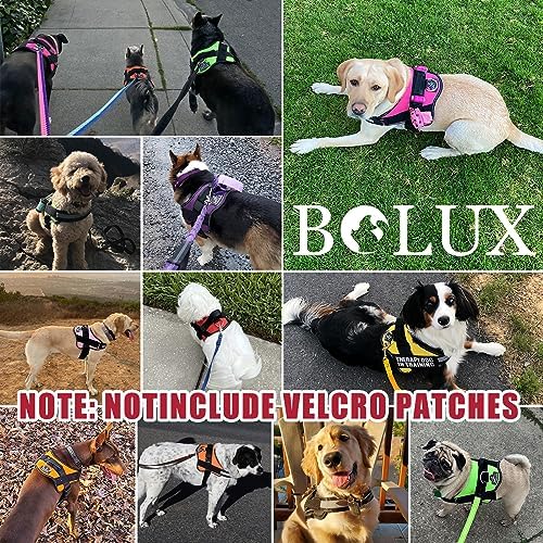 Dog Harness, No-Pull Reflective Dog Vest, Breathable Adjustable Pet Harness with Handle for Outdoor Walking - No More Pulling, Tugging or Choking (Flag, Large) - Image 5