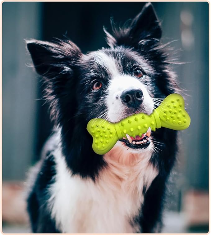 Bone Shape Dog Squeaky Toys, Durable Dog Chew Toys for Aggressive Chewers, Puppy Teething Toys for Small/Medium Dogs Natural Rubber Puppy Chew Toys for Teething