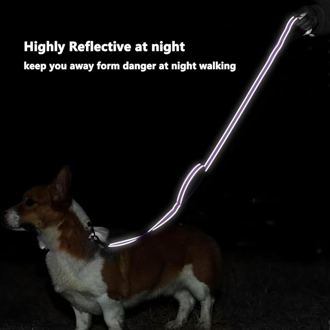 6 FT Dog Leash with 2 Padded Handle Nylon Reflective Dogs Leashes for Small Medium Large Dogs Purple