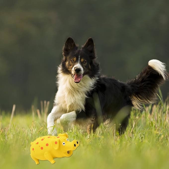 Pig Squeaky Dog Toy, 2 PCS Interactive Rubber Dog Chew Toy - Durable Latex Spot Grunting Pig Toys that Oink for Small Medium Large Dogs (Yellow, Green)