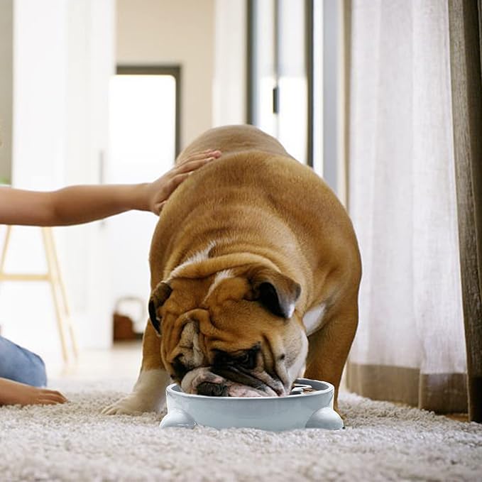 VANNON Slow Feeder Dog Bowls Durable Puzzle Feeder Non Slip Dog Food Dish Bloat Stop Food Bowls for Small Medium Dogs, 3 Cups, BPA Free, Grey