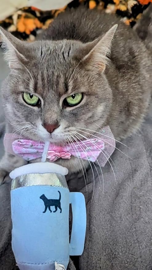 Kitty Cup Catnip Toy - Easter & Birthday Cat Gift Toy with Catnip & Crinkle, Funny Gift for Girl Indoor Kitten (Chambray Blue)