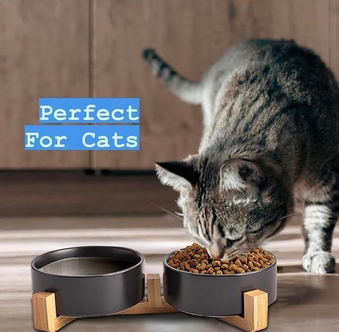 Ceramic Cat and Small Dog Bowl Set – Modern Indoor Small Size Pet Food and Water Bowls with Wood Stand – Non Slip Puppy Sized Feeding Station with Double Dishes (Black)