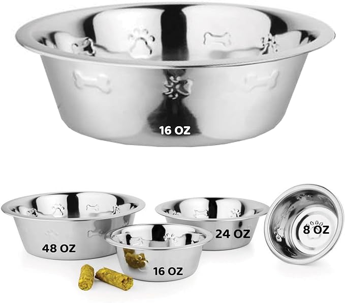 Palz&Co Stainless Steel Dog Bowl Embossed with Paw & Bone, Easy to Clean Pet Bowl for Food & Water, Perfect for Dog, Cat, Small Animals (Medium 16 Oz)