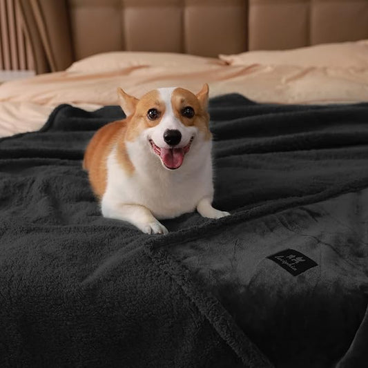 Luciphia Waterproof Pet Blanket, Liquid Pee Proof Dog Blanket for Sofa Bed Couch, Reversible Sherpa Fleece Furniture Protector Cover for Small Medium Large Dogs Cats, Black Thicken Large(65" x 57")