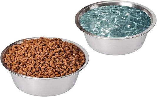 FOYO Stainless Steel Pet Bowls Set - Cat and Dog Small Bowls, 12 OZ Food and Water Dishes, Set of 2