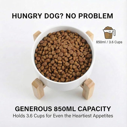 hjn Elevated Ceramic Dog Bowl 15°Slanted Raised Dog Bowl with Bamboo Stand for Small Medium Dogs and Cats, Pet Feeder -3.6-Cup (850ml)-White