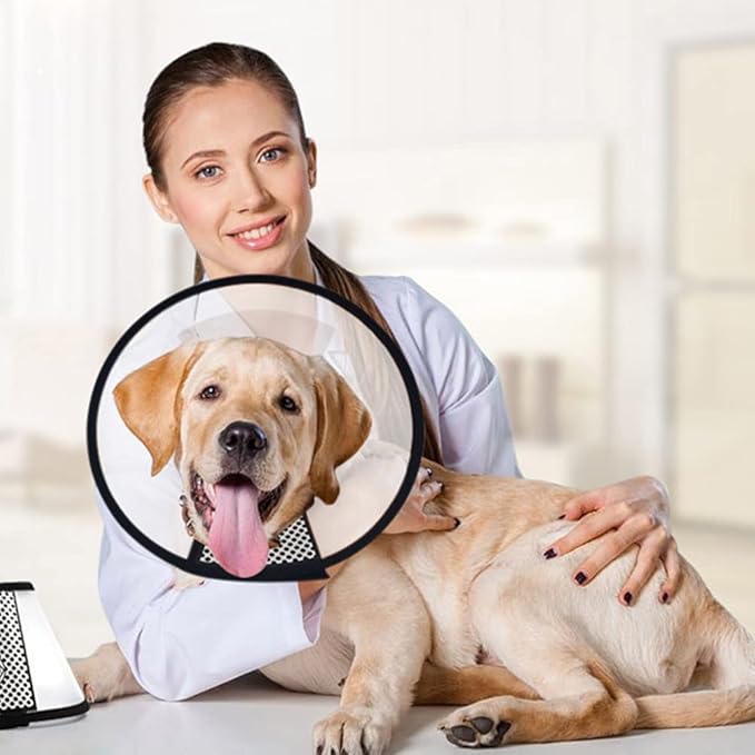 Plastic Pet Recovery Collars & Cones for Dogs and Cats After Surgery Adjustable Dog Neck Cone Surgical Elizabeth E-Collar Prevent Biting and Stop Licking Wound (XXS)