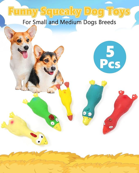 Dog Squeaky Toys Chicken, Natural Rubber Chicken Dog Toys 5 Pcs, Interactive Training Toys for Puppies Small Medium Breed Gentle Chewers