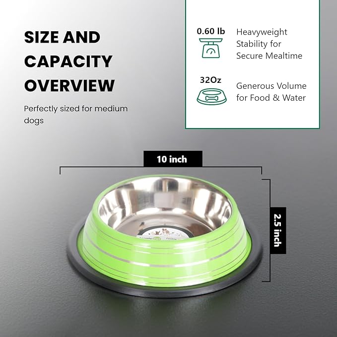 Iconic Pet Color Splash Stripe Non-Skid Stainless Steel Dog & Cat Bowl - Green, 32 Oz, 4 Cup, Durable, Easy to Clean, Anti-Slip Feeding Dish for Food & Water, Stylish Design for Dogs and Cats