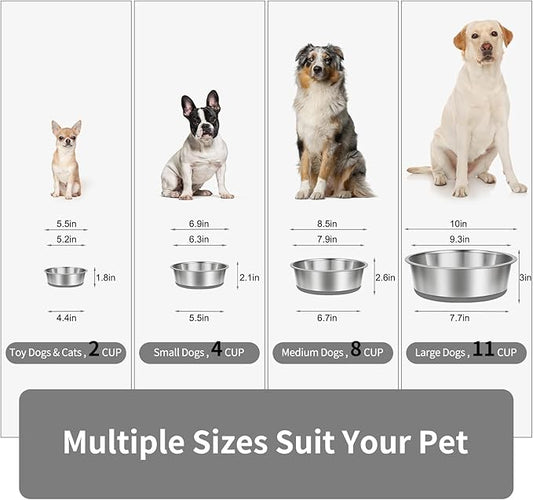 Taglory 2 Cup Stainless Steel Dog Bowls Set of 2 for Food and Water, Silicone Base Anti-Slip, Rust Resistant, Extra Thick Metal Dog Bowl for Cats and Puppies, 17oz, Gray