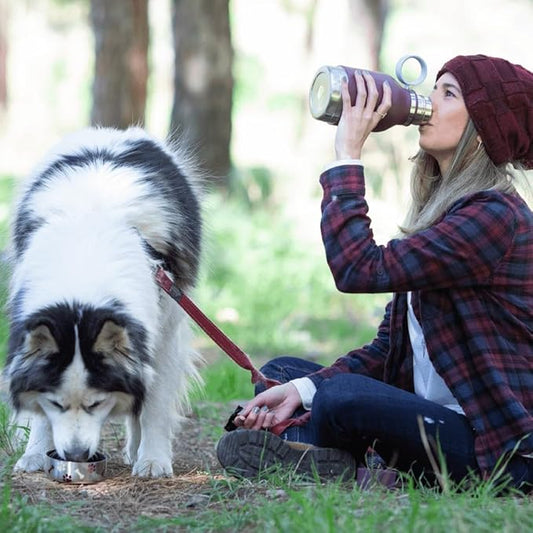 Asobu Buddy Bottle a Stainless Steel Insulated Water Bottle for with Removable Dog Water Bowl and Dog Food and Treat Storage Bowl (Burgundy, 37 Oz Water Bottle with Bowl)
