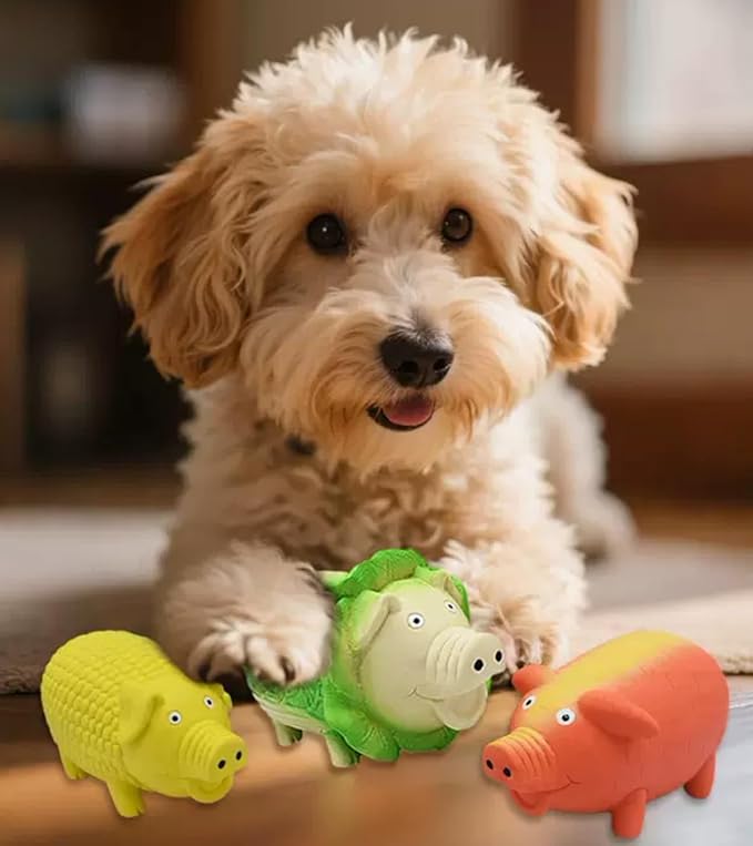 Dog Squeaky Toy, 2 Pack Latex Chew Toys with Oinks Sound Squeaker Cabbage&Carrots Grunting Pig Dog Toy Durable Dogs Squeeze Toy for Small Medium Large Dog Dental Biting Chasing to Kill Boring Time