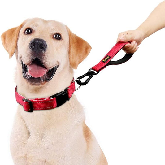 PLUTUS PET 10” Short Dog Leash, Reflective Nylon Padded Handle, Strong Traffic Leash with Carabiner Clip, Perfect for Large or Medium Dogs(10”,Red