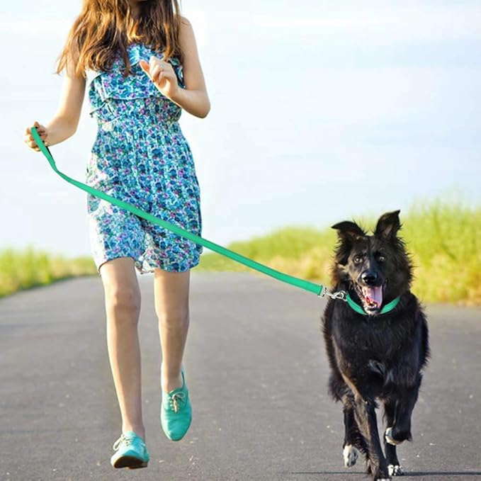 FunTags 4FT Reflective Dog Leash with Soft Padded Handle for Training,Walking Lead for Medium & Small Dogs,3/4 Inch Wide,Turouoise