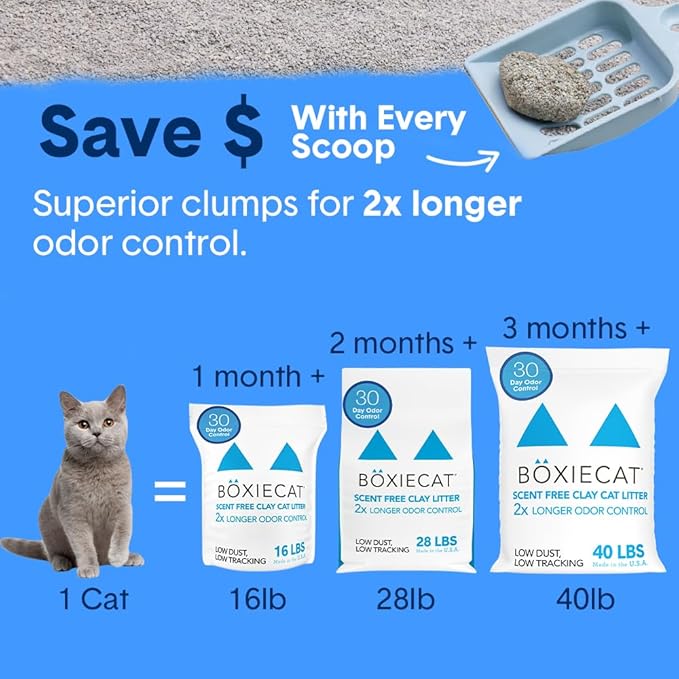 Boxie Unscented 30 Day Odor Control Clumping Clay Cat & Kitty Litter, 99.9% Dust-Free, Hard Flat Top Clumps, No Fragrances No Fillers, Long-Lasting, Easy to Scoop,16 lb (Pack of 2)