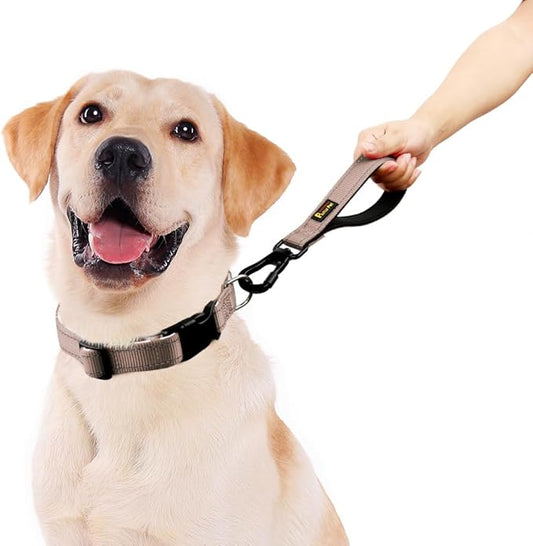 PLUTUS PET Short Dog Leash, Reflective Nylon Padded Handle, Strong Traffic Leash with Carabiner Clip, Perfect for Large or Medium Dogs (10”,Beige)