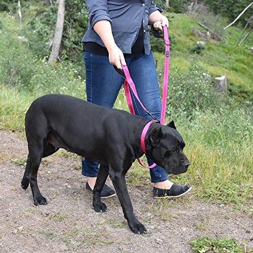 Wagtime Club Heavy Duty Double Handle Dog Leash for Large Medium Small Dogs - Image 7