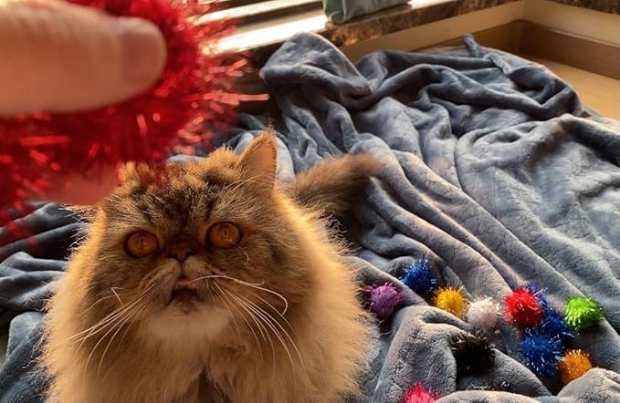 1.5 INCH Cat Toy Balls Extra Large Sparkly Cat's Favorite Chase Glitter Ball Toy Sparkle Pom Pom Balls