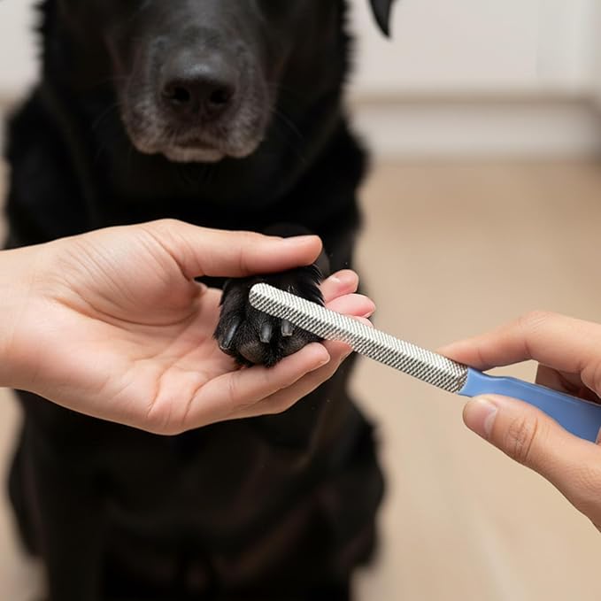 4PCS Small Dog Nail File, Colorful Metal Nail File, Professional Pet Filer Scratcher Set, Durable Nails Grooming Tool for Outdoor & Indoor Dog, Remove Burs for All Toenail Types