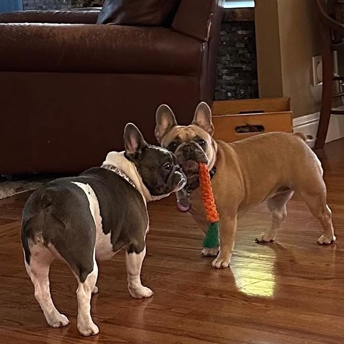 RCFINE 4Pcs Dog Rope Toy Carrot Dog Chew Toys Pet Chew Rope Toy Gift for Dog Cat Teeth Cleaning and Chewing