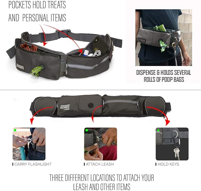 TAKSIN The Ultimate Hands Free Two Dogs Double Leash System for Walking Running Hiking Training, Reflective Bungee Leash, Treat Holder, Poop Bag Dispenser Small Medium Large Dogs (Grey Deluxe Pack)