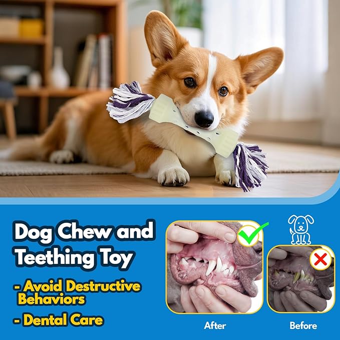 Glow-in-The-Dark Dog Toy – Interactive Fetch, Tug & Treat Puzzle for Small Dogs, 13” Lightweight Flying Disc with Dental Cleaning Texture, TPR & Rope Calming Chew Toy for Anxiety Relief