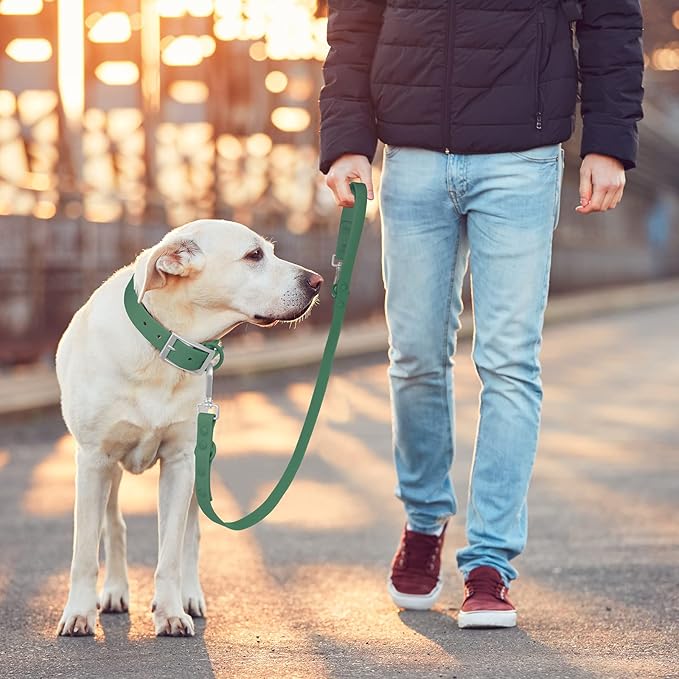 Wisedog Waterproof Dog Leash – 5ft/6ft Adjustable with 2 Metal Swivel Hooks, Easy to Clean Dog Leashes for Small, Medium, Large Breed Dogs (Pine Green S)