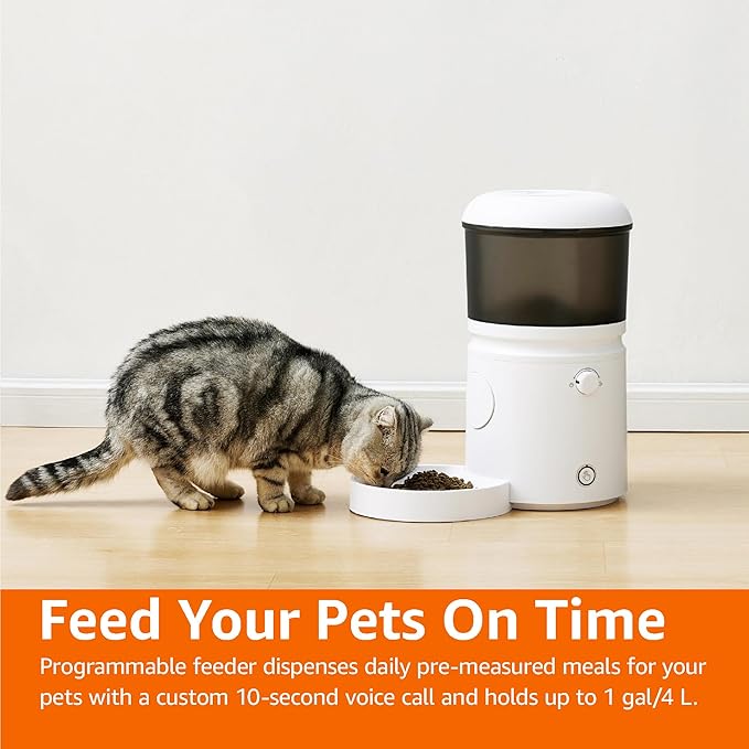 Amazon Basics Automatic Cat Feeder with Programmable Voice Recorder, Slow Feed, Portion Control, 4L Capacity, White