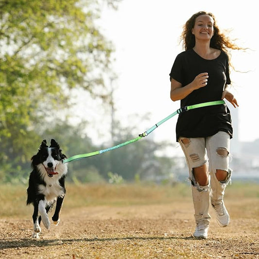 Roses&Poetry Hands Free Dog Leash for Medium Large Dogs Heavy Duty, No Pull Bungee Dog Running Waist Leash for Walking Training with Car Seatbelt 4-6FT