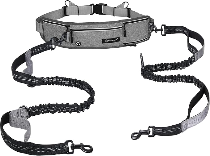 Tails & Tales Hands Free Dog Leash with Waist Pouch, Lumbar Support Upgraded, Bungee Reflective Leash, Adjustable Belt 25-55", Walking Running Hiking Training for Dogs Up to 125lbs (Gray, Two Dogs)