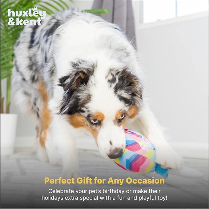 Huxley & Kent Funny Dog Toy w/Squeaker – Power Plush Squeaky Dog Toys for Small, Medium & Large Dogs – Soft Stuffed Animal for Indoor Play & Fetch - I'm Sweet Lollipop, Large