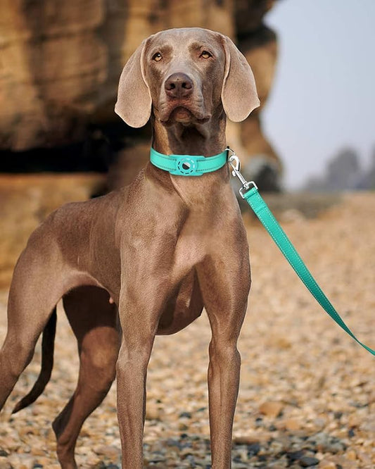 Reflective Dog Leash 4ft Soft Padded Handle Nylon Lead for Small & Medium Dogs, Durable Walking Training Leash for Night Safety (Turquoise,1Inch Wide)