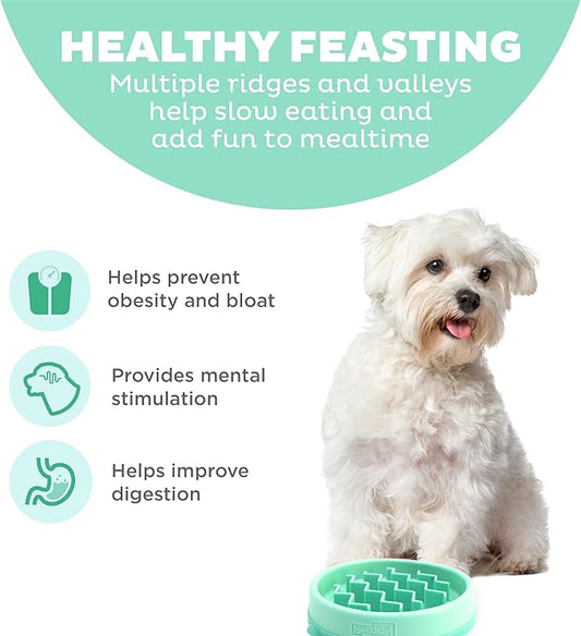 Outward Hound Fun Feeder Slo Bowl – Small 3/4-Cup Capacity, Slow Feeding, Small Dogs, Puppies & Cats, Non-Slip, Mint, Wave Pattern