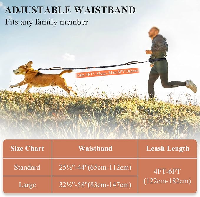 VIVAGLORY Hands Free Dog Leash Bungeeone Running Dog Leash with Waist Belt for Running Walking & Jogging, Bungee & Around Waist for Pet, M, Black/Orange
