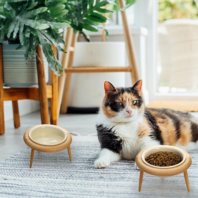 DEAYOU Ceramic Cat Bowl Adjustable, Tilted Elevated Raised Pet Dish, No Spill Pet Food Water Feeder, Slanted Dog Bowl with Wood Stand for Kitty, Pet Supplies, Stress Free, 600 ML/20 OZ, Cream White