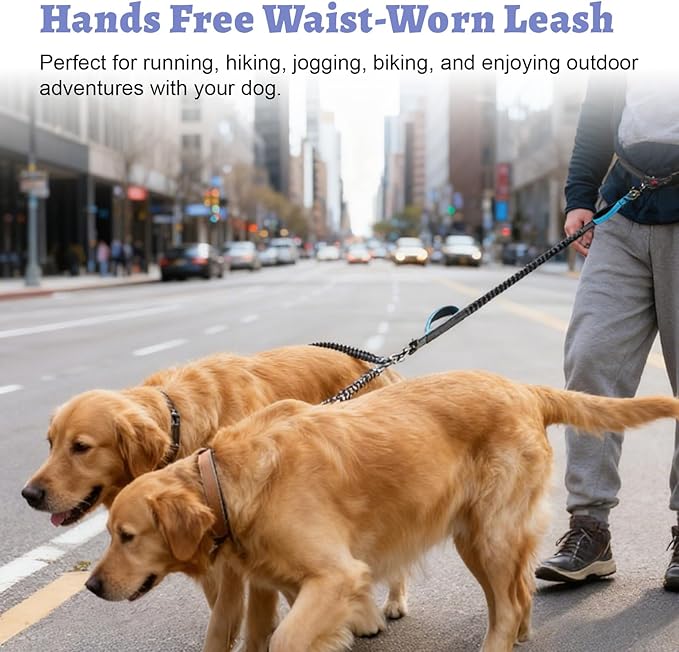 Hands Free Double Dog Leash for Two Dogs- No Tangle No Pull Dual Leash with Padded Adjustable Waist Belt & Reflective Stitching - Ideal for Running, Jogging, Hiking with Medium & Large Breeds