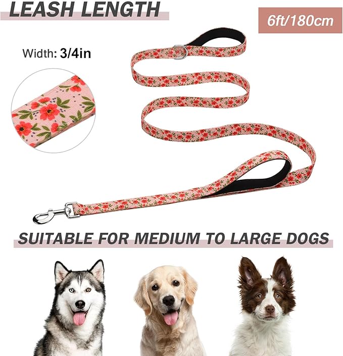 Hikiko 6 Foot Double Handle Dog Leash Cute Girl Padded Traffic Handles for Walking Training (Cream Natural Floral, 6ft)