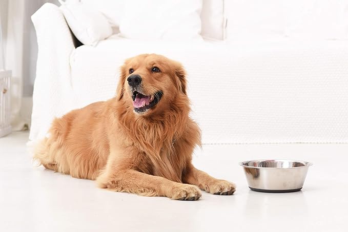 PEGGY11 Deep Stainless Steel Anti-Slip Dog Bowls - 2-Pack, 16 Cups
