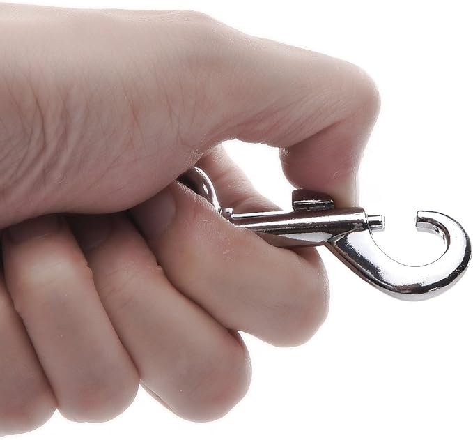 Reflective Dog Leash 4Ft /6 Feet Long, 3/4 Inch Wide, for Small and Medium Dogs