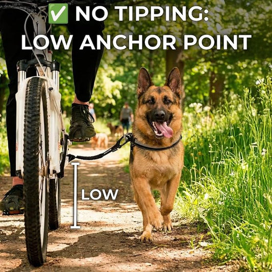 BIKE AND DOG - Dog Leash and Harness for Bicycle, Harness with 3 Rings, 2 are Sides, Includes 2 Special Cable Ties for Bicycle. Patented. (Black, Leash & Harness XL)