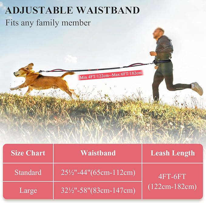 VIVAGLORY Hands Free Dog Leash Bungeeone Running Dog Leash with Waist Belt for Running Walking & Jogging, Bungee & Around Waist for Pet, M, Black/Red