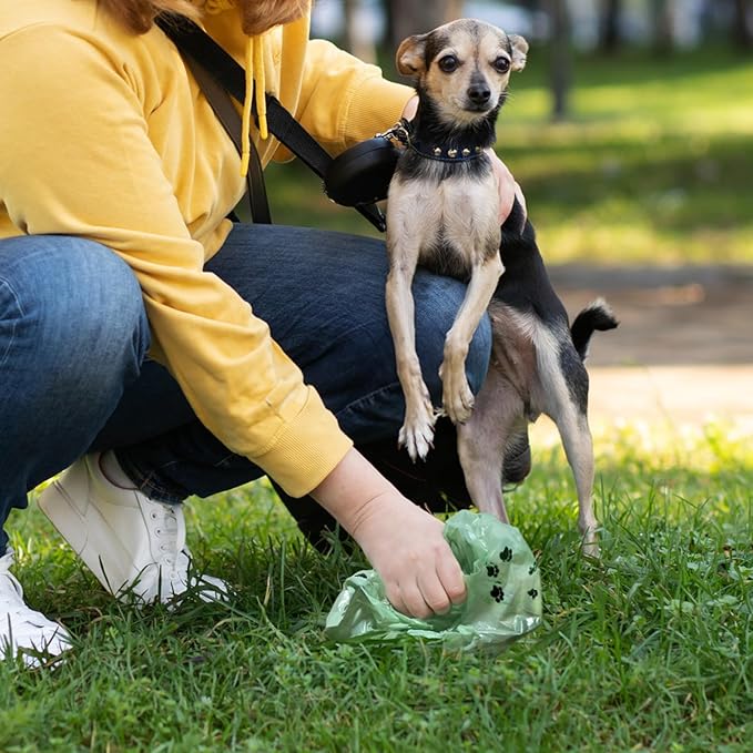 Poop Bags for Dogs, Dog Poop Bag Rolls and Small Trash Bags for Waste Cleanup, Extra Thick Doggie Bags for Pooper Scooper Scented Dog Waste Bag for Outdoor Puppy Walking and Travel 60 Count