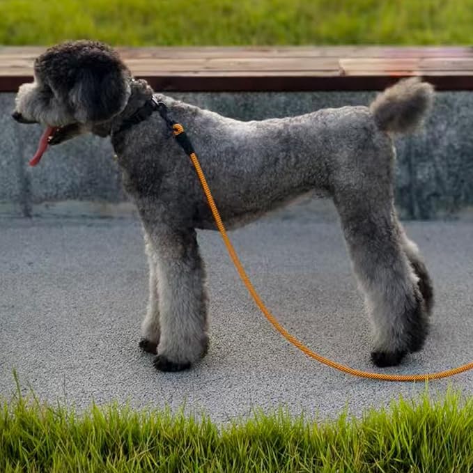 MayPaw Heavy Duty Rope Dog Leash, 6/8/10FT Nylon Pet Leash, Soft Padded Handle Thick Lead Leashes for Large Medium Dogs Walking Jogging (1/2" * 10', Orange)