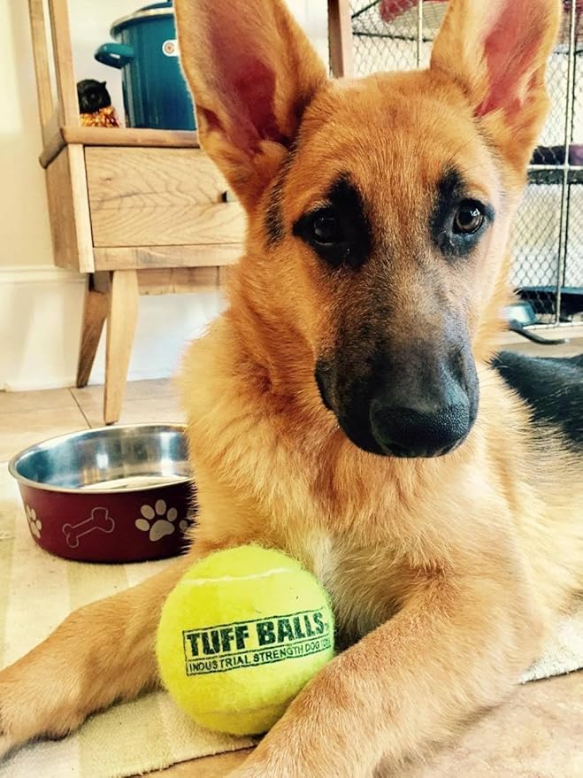 PetSport Giant Tuff Ball - Giant Tennis Balls for Dogs, Great for Boredom & Aggressive Chewers, Toy for Large Dogs, Certified Non-Toxic, Won’t Wear Down Teeth - 4"(Pack of 12)